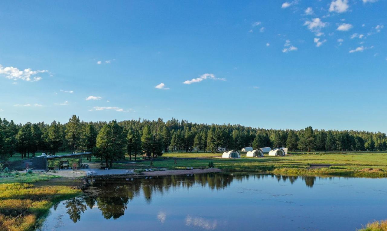 Backland Hotell Williams Eksteriør bilde